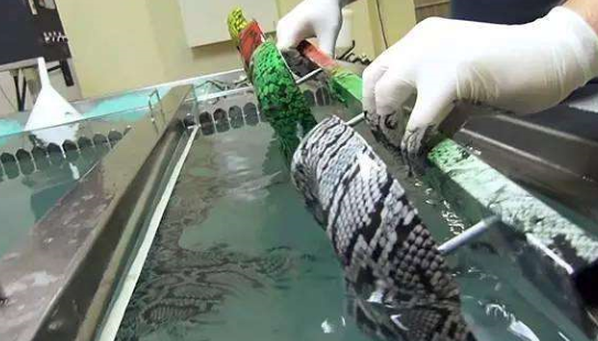水转印技术可以用来做什么